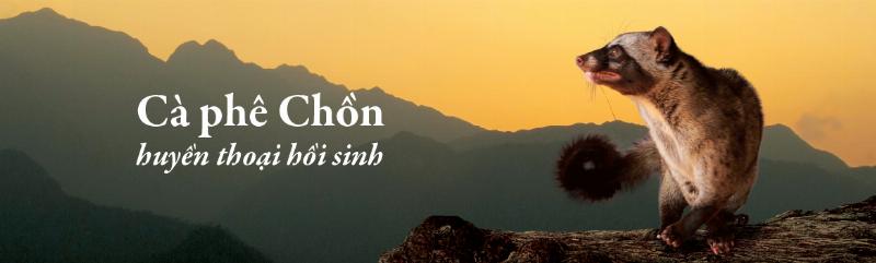hinh anh hat ca phe viet nam va quy trinh san xua trung nguyen